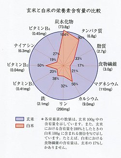 genmaieiyou 玄米と白米の栄養比較
