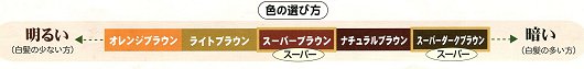 henna10 グリーンノートへナ各種・色の選び方