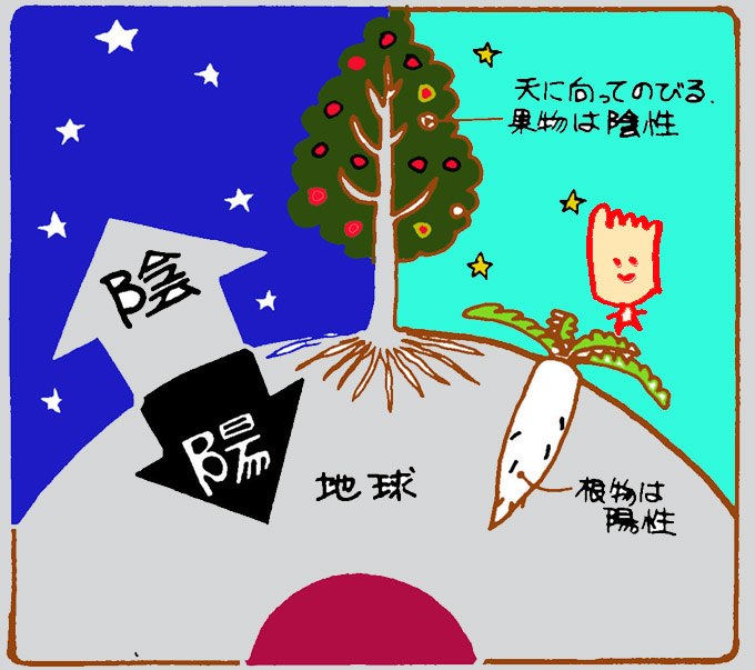 「マクロビオティック図写真フリー」の画像検索結果