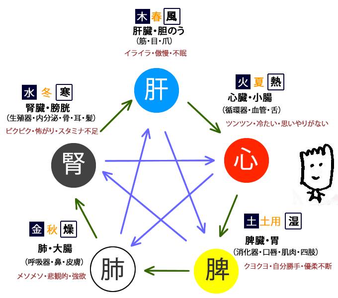 「東洋医学 イラスト 五行」の画像検索結果